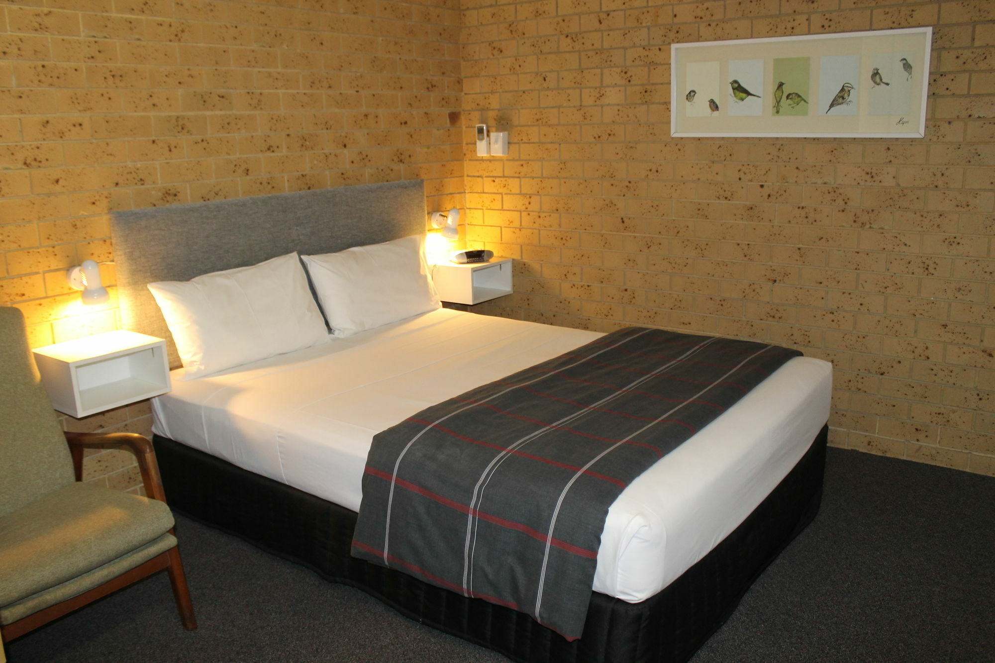Coast Inn Motel Балліна Екстер'єр фото